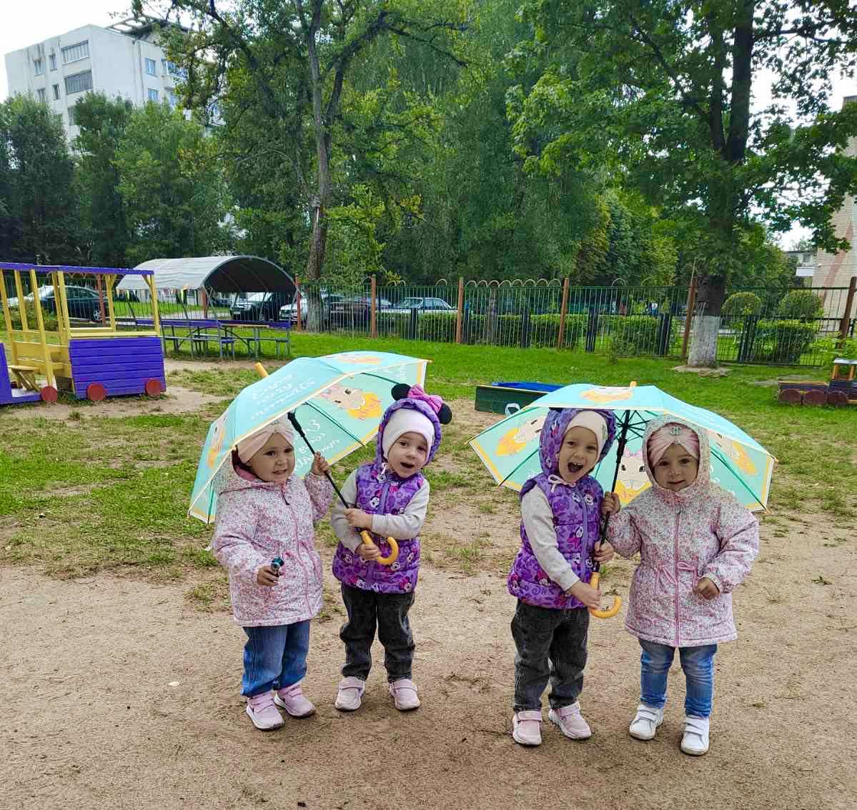 изображение viber 2025 09 03 23 21 34 363