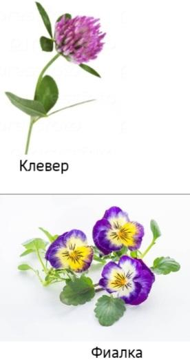 foto14.png