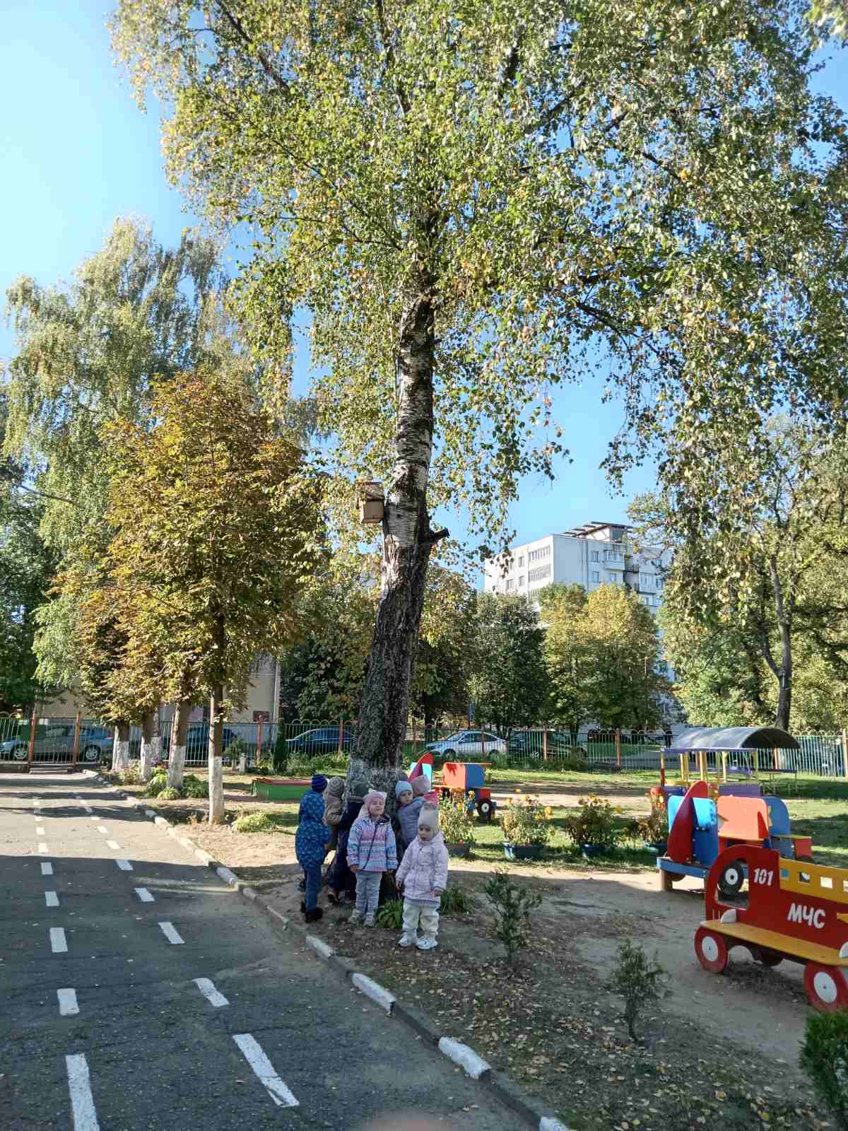 изображение viber 2025 09 26 15 53 43 243
