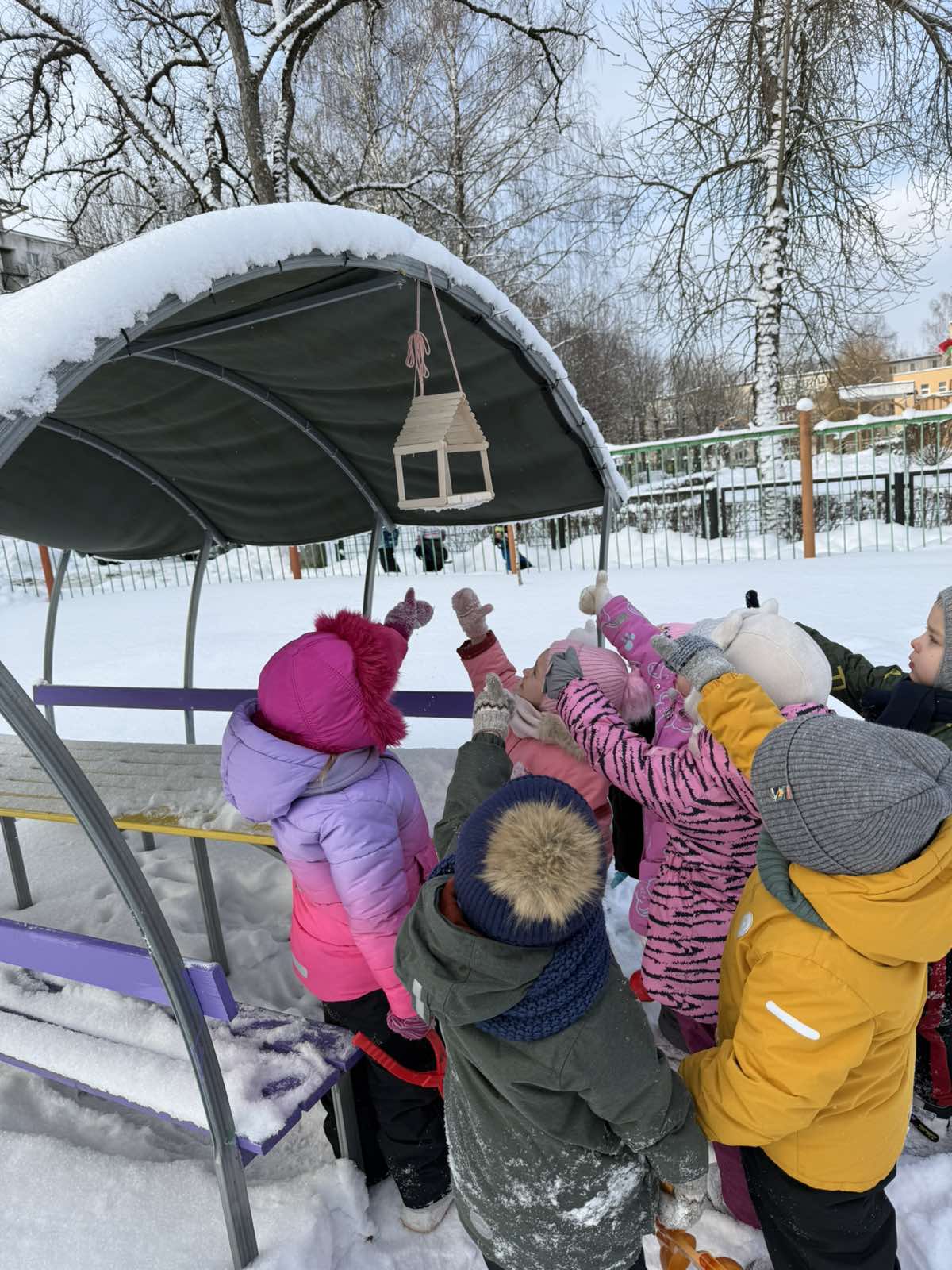 изображение viber 2026 01 23 19 34 51 692