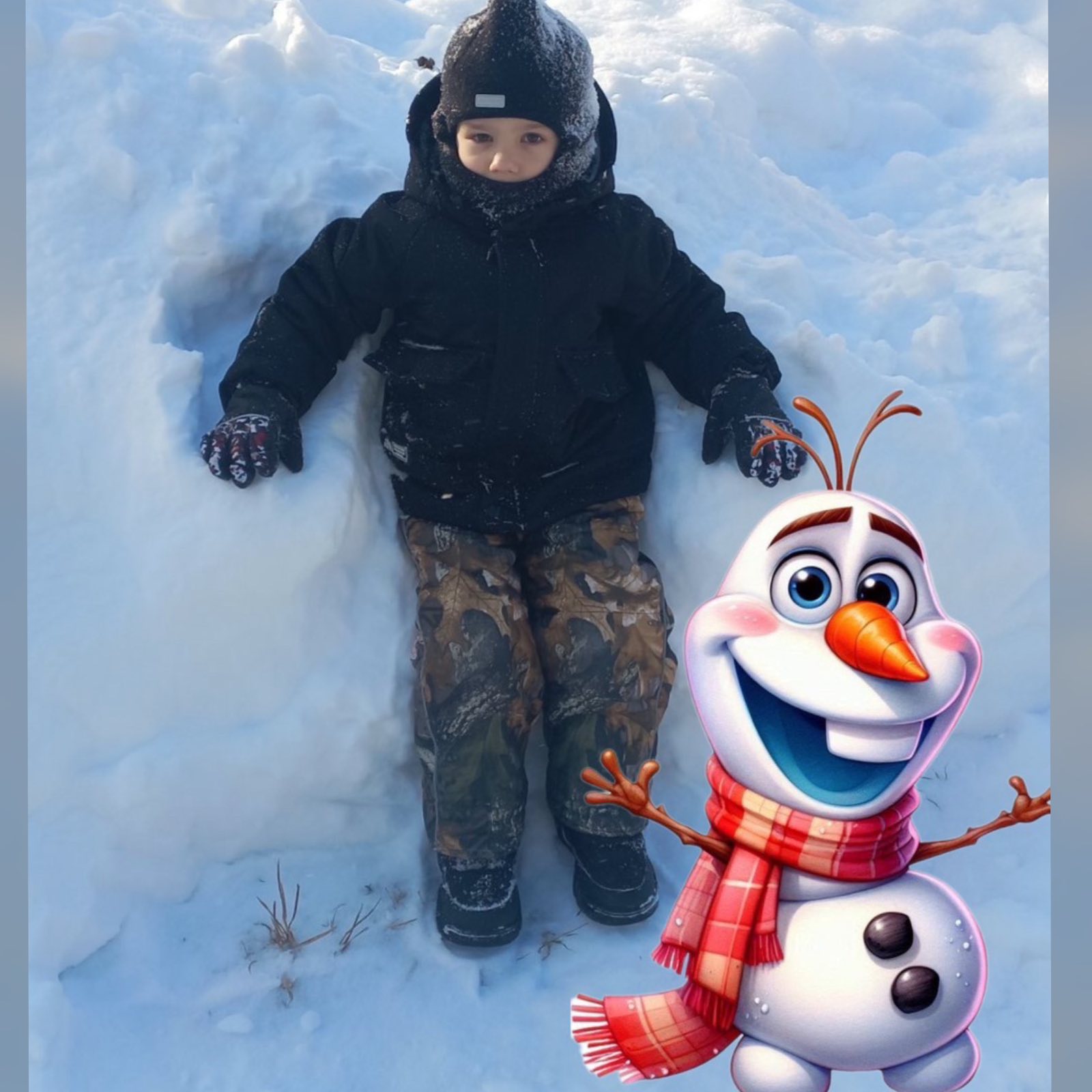 изображение viber 2026 02 05 21 36 23 256