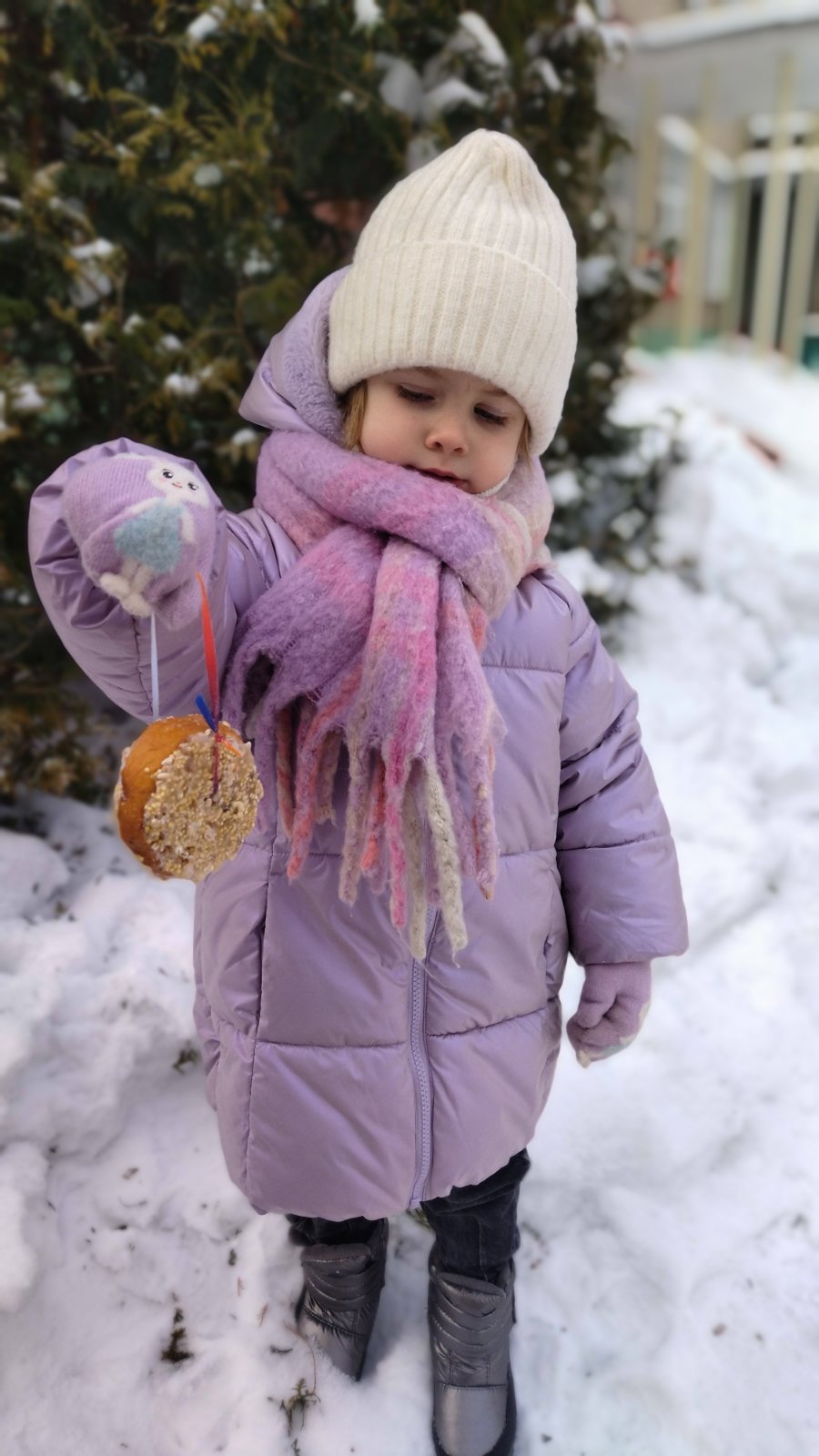 изображение viber 2026 02 15 13 11 14 602