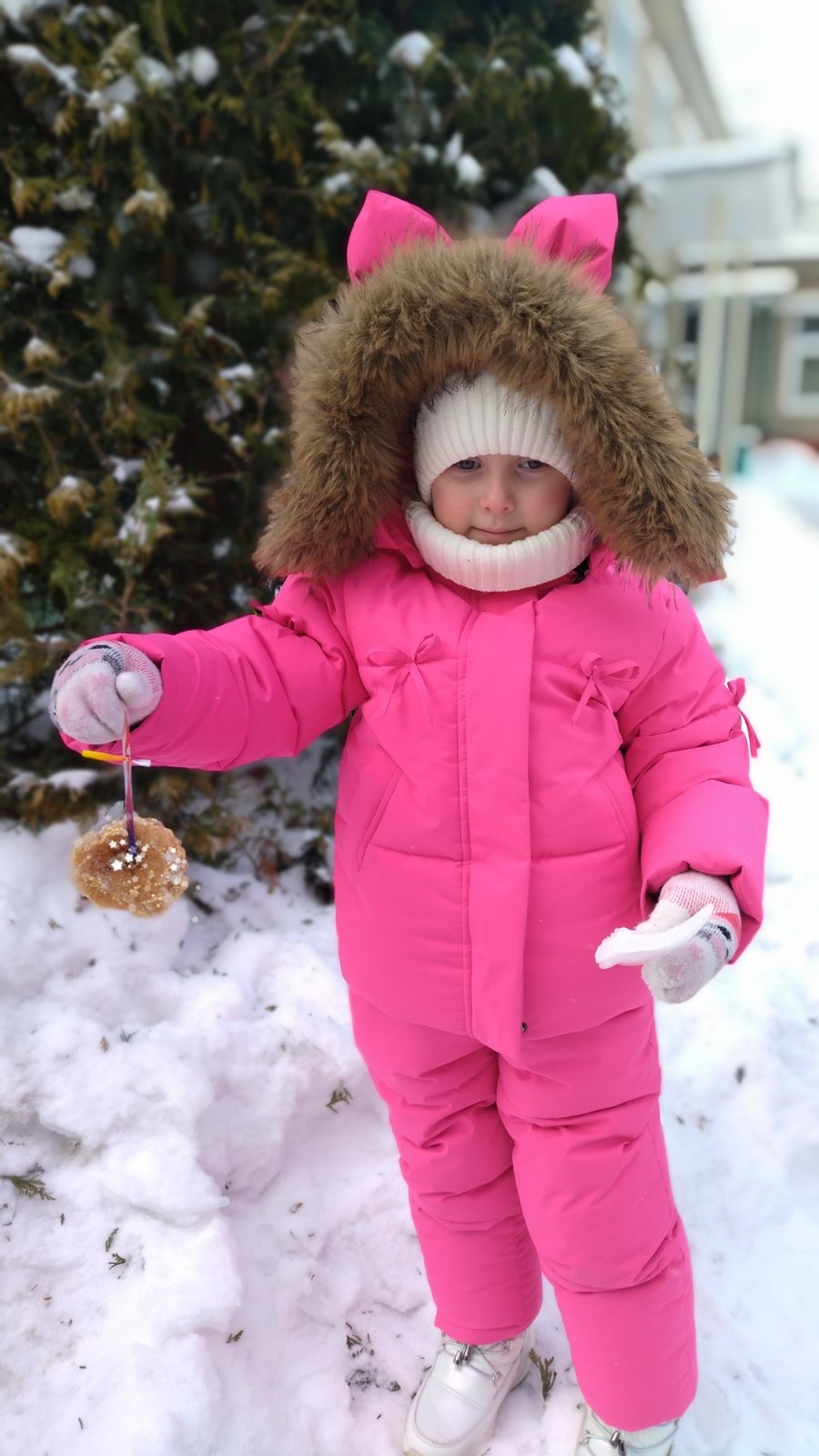 изображение viber 2026 02 15 13 11 15 992