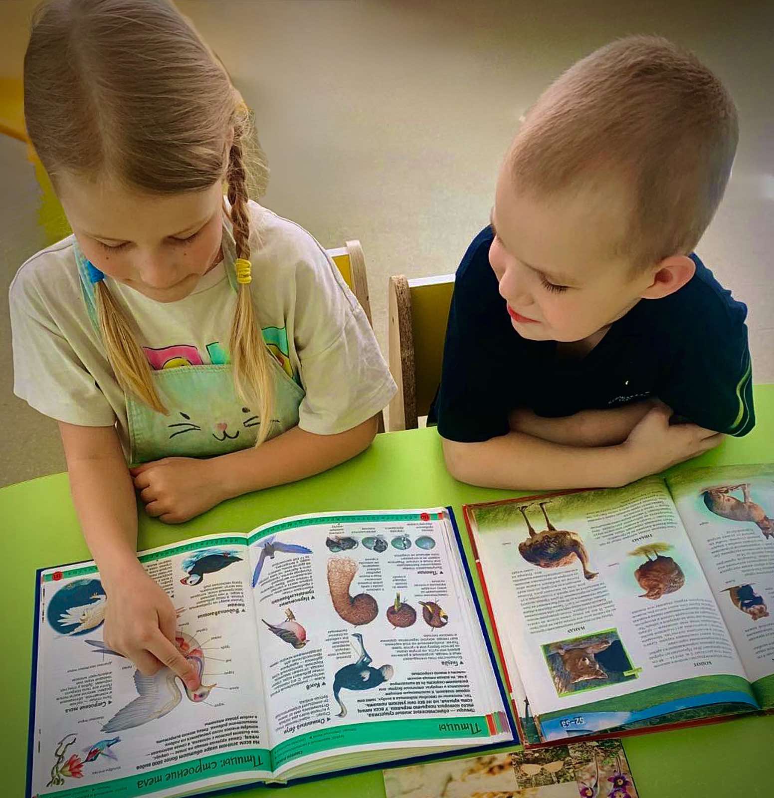 изображение viber 2026 04 06 17 52 39 615