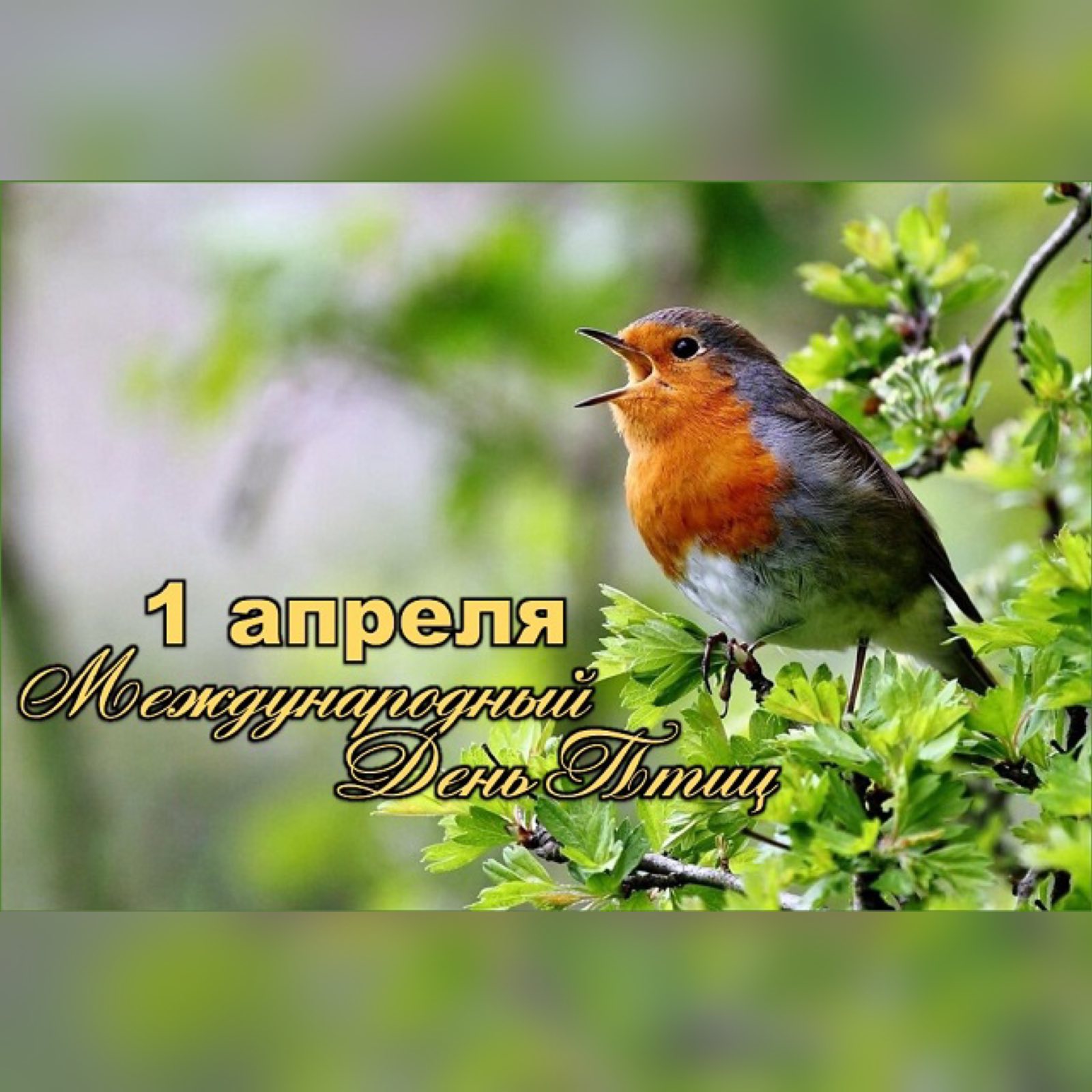 изображение viber 2026 04 06 17 52 40 271