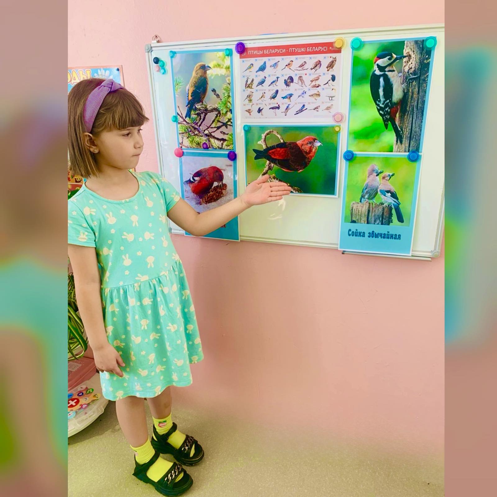 изображение viber 2026 04 06 17 52 40 535