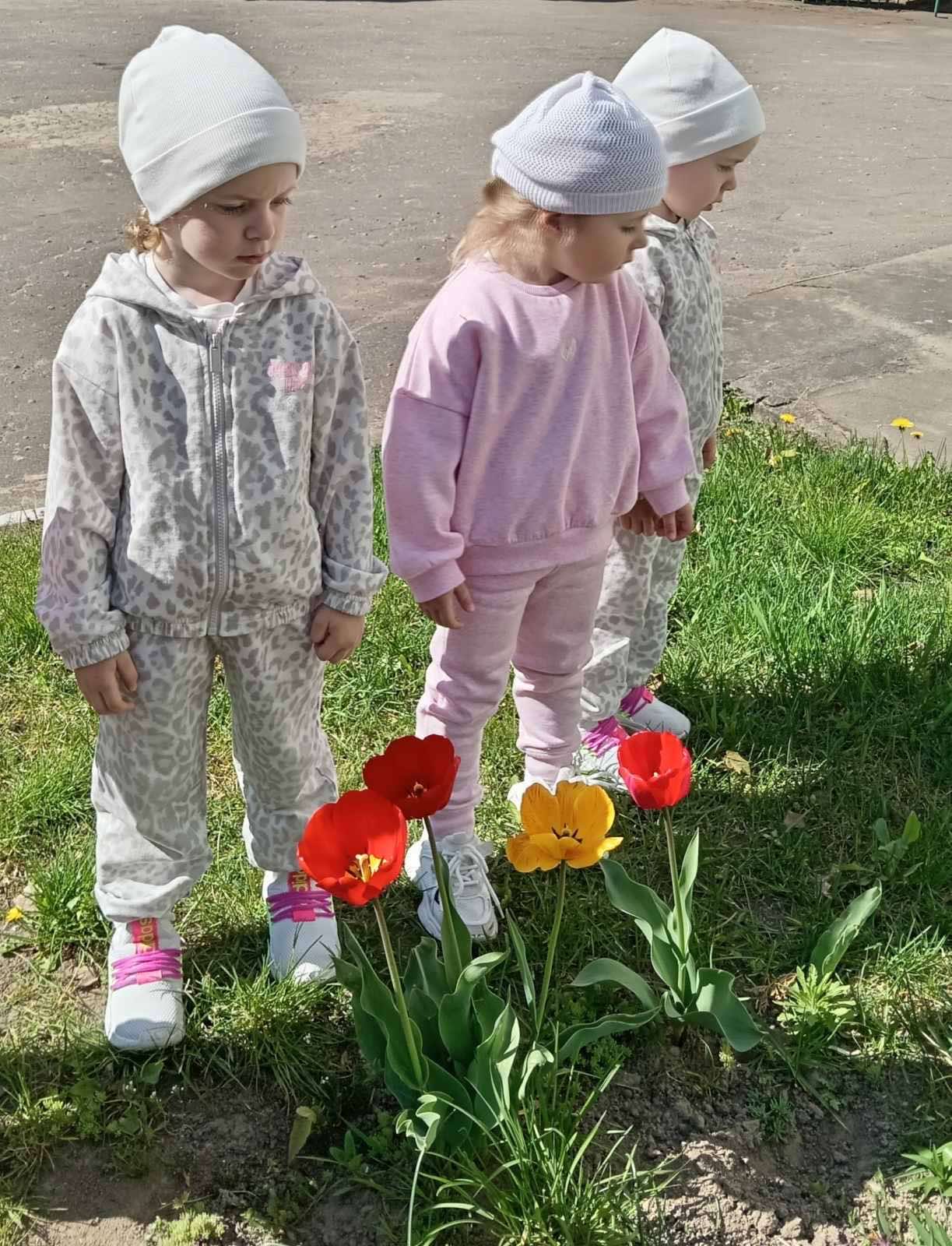 изображение viber 2026 05 20 21 59 31 402