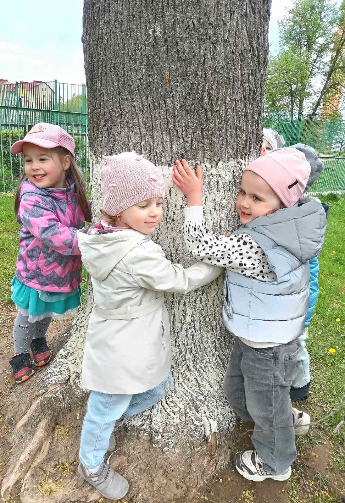 изображение viber 2026 05 20 21 59 31 787