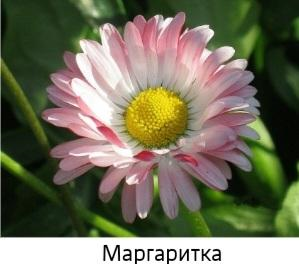 foto15.png