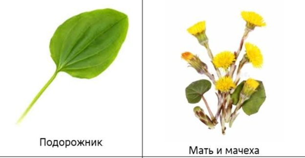 foto16.png