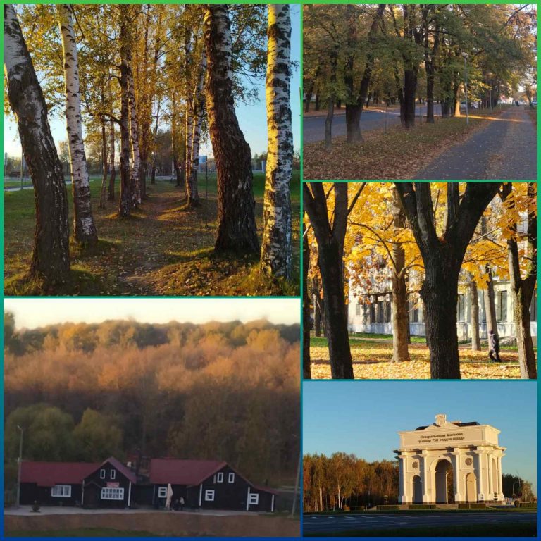 изображение viber 2024 10 20 22 36 48 568
