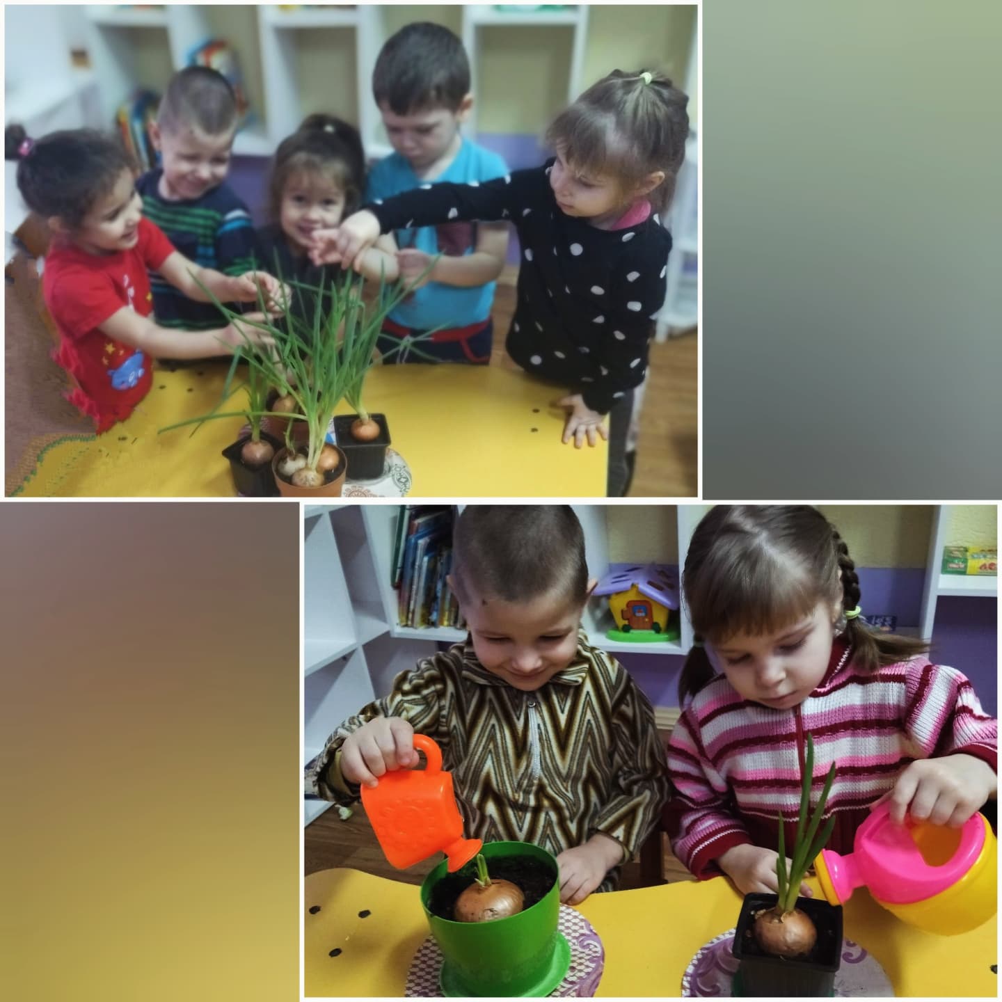 изображение viber 2025 03 09 13 26 41 826