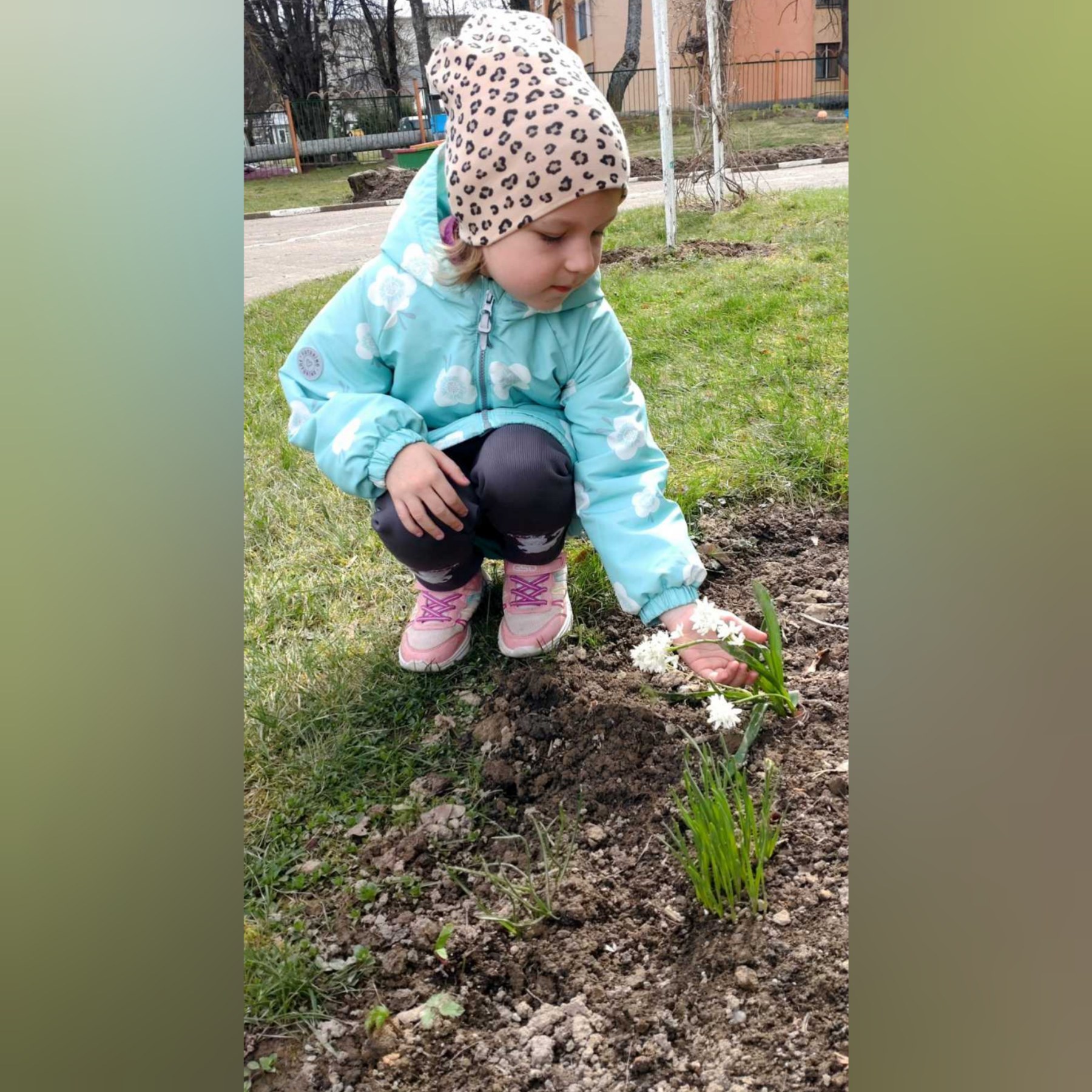 изображение viber 2025 04 24 16 57 17 145
