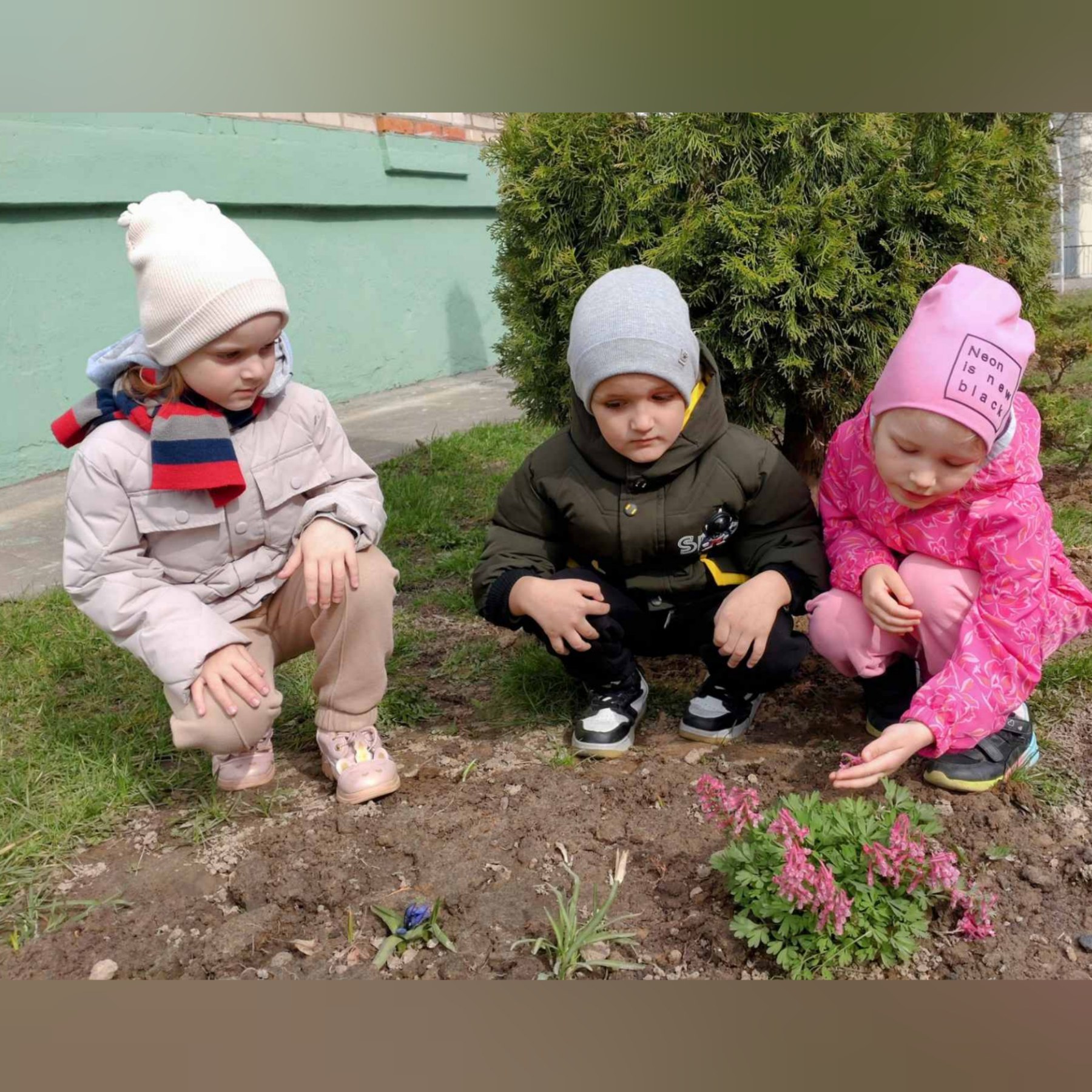 изображение viber 2025 04 24 16 57 17 938