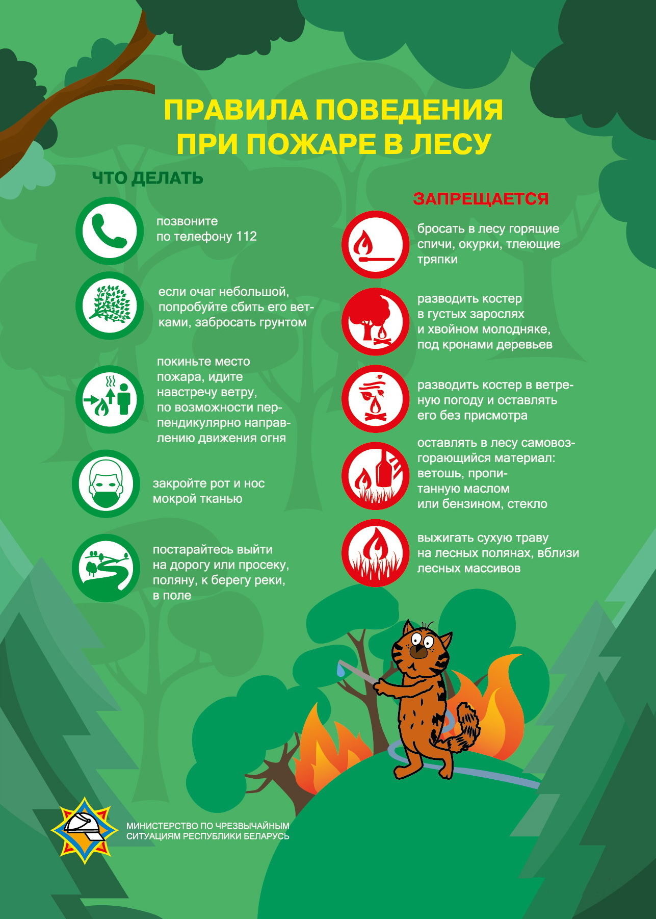 при пожаре в лесу