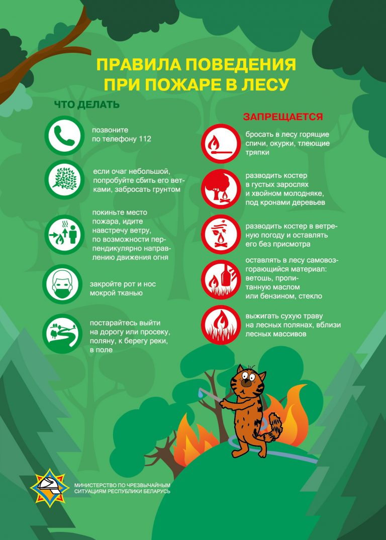 при пожаре в лесу