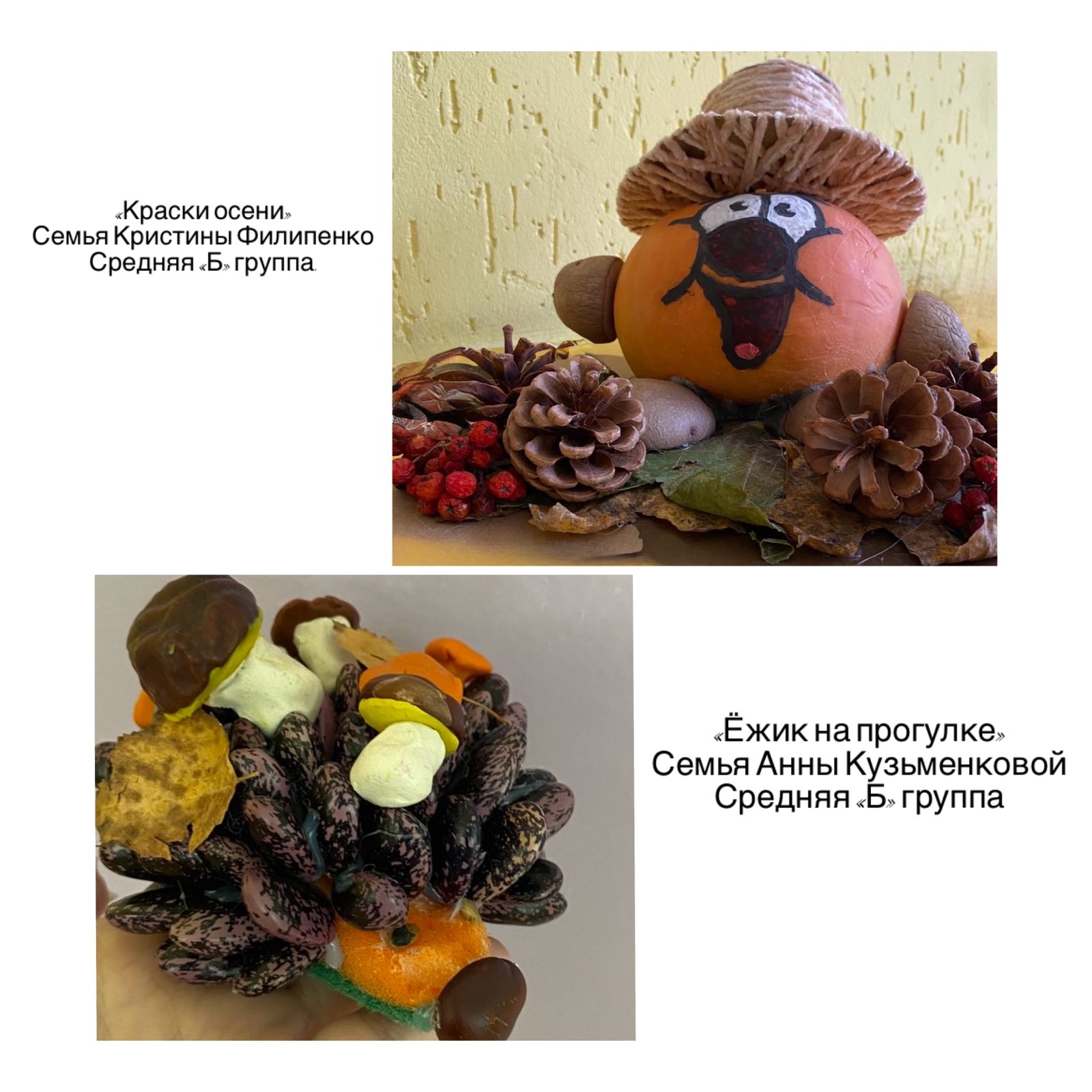 изображение viber 2025 11 15 22 00 47 607