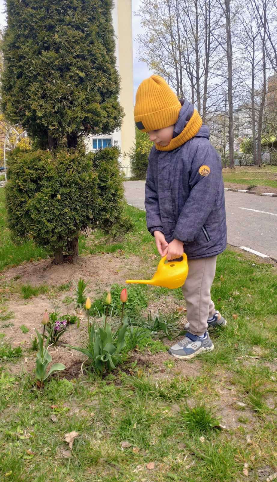 изображение viber 2026 05 03 20 24 13 787