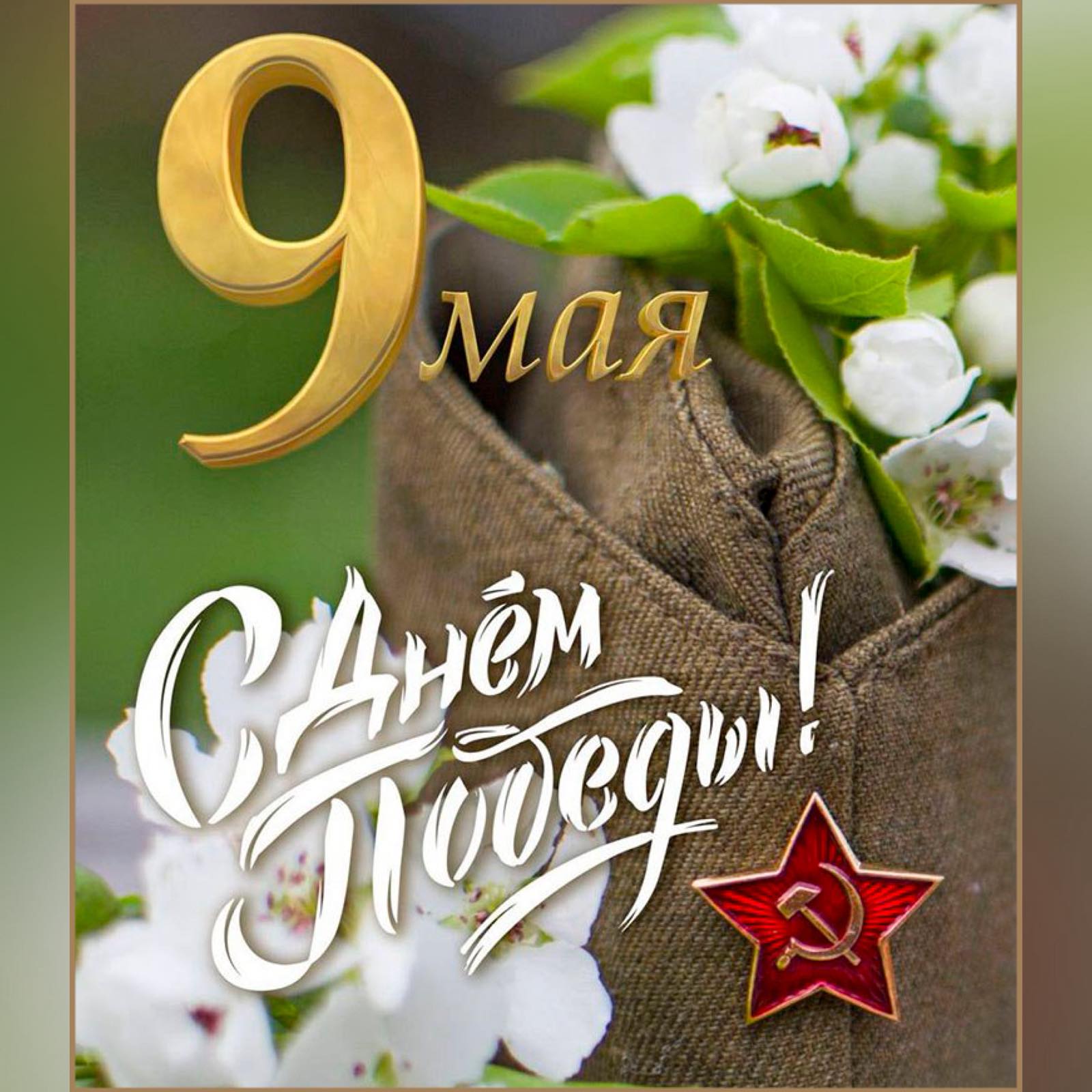 изображение viber 2026 05 10 22 29 14 490
